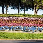 Modern In The Heart Of * ביביונה